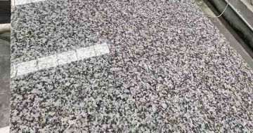 淄博 芙蓉白光面