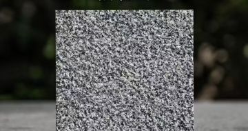 淄博 芝麻黑荔枝面