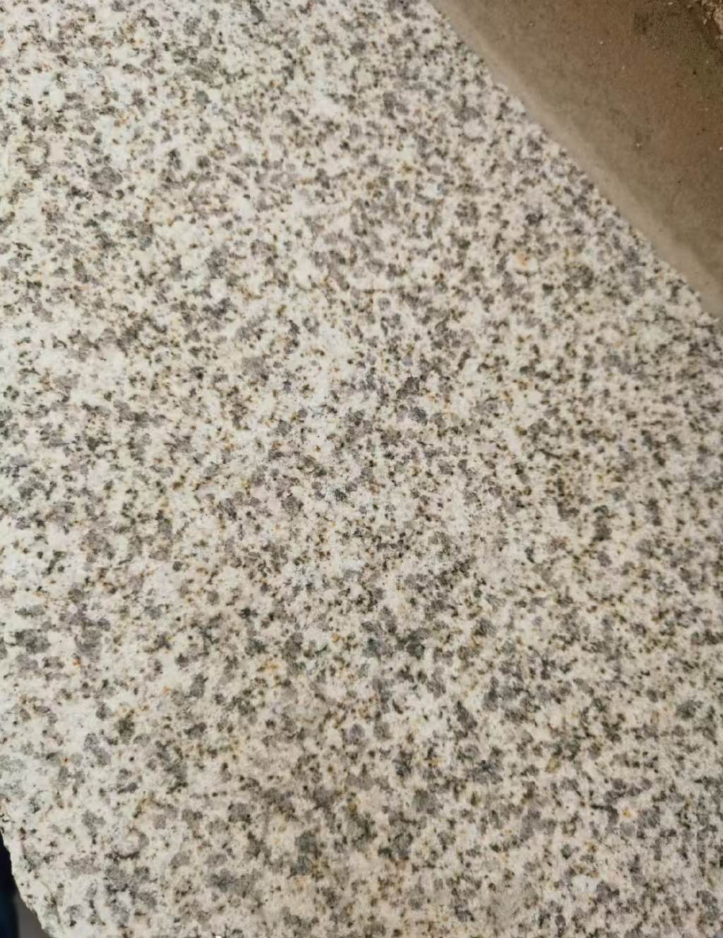 淄博 黄金麻中黄光面