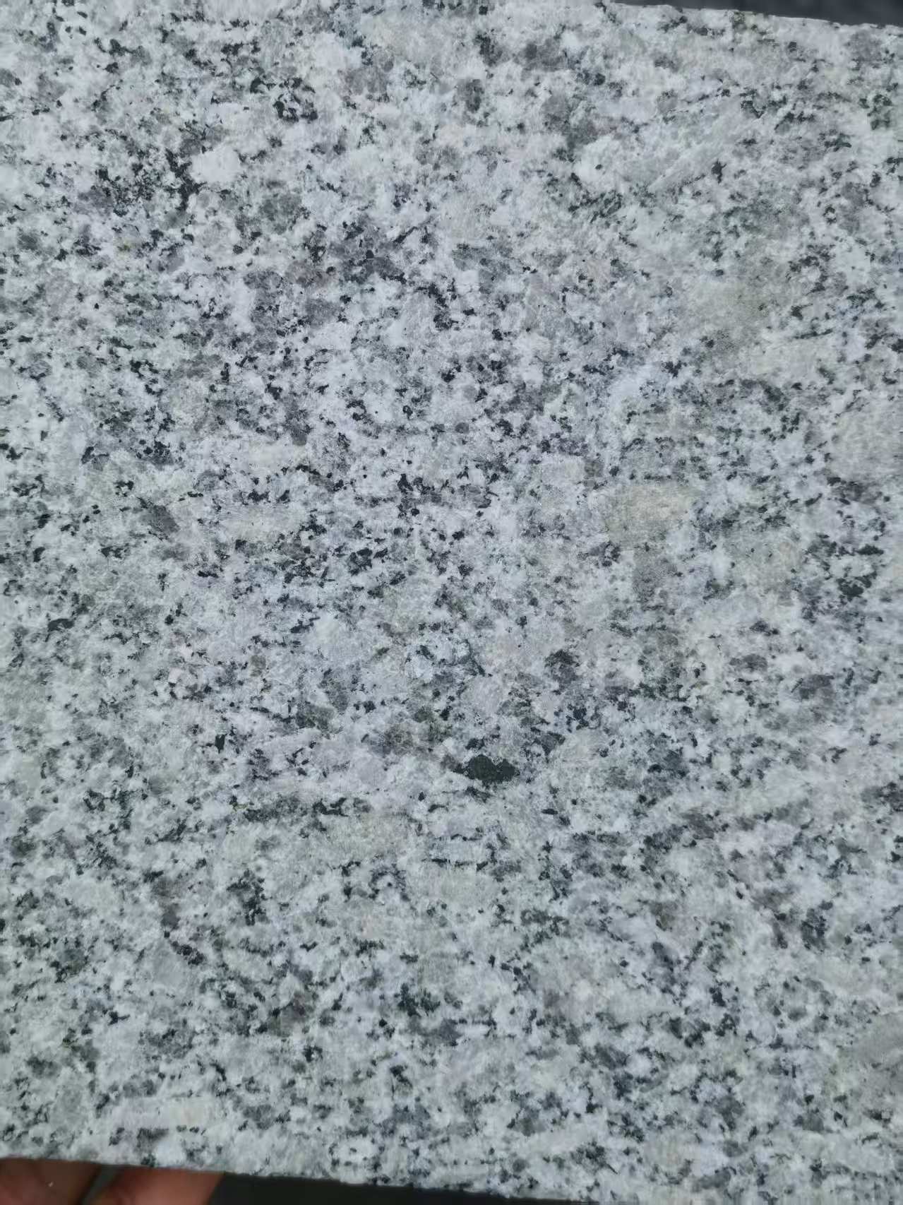 淄博 芙蓉白火烧面