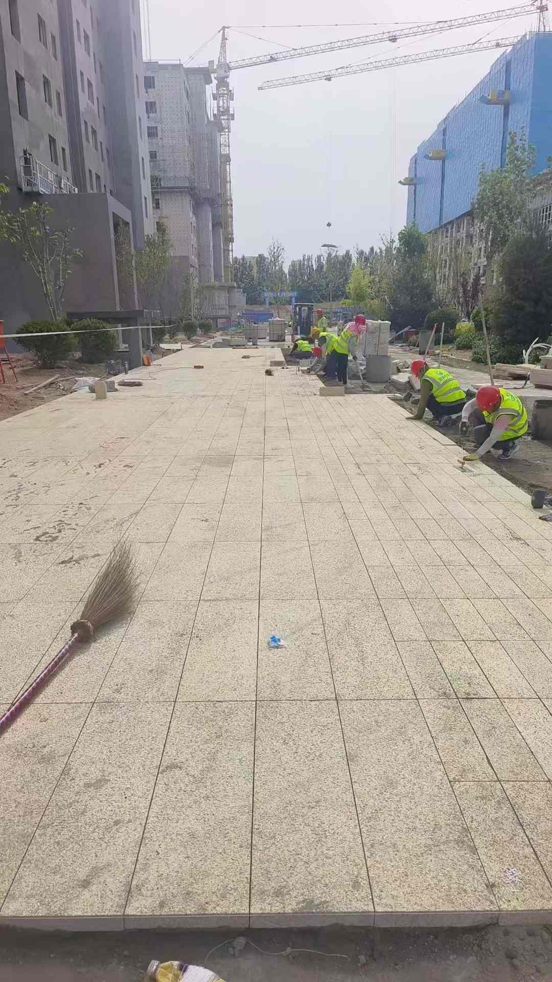 淄博黄金麻荔枝面地铺案例